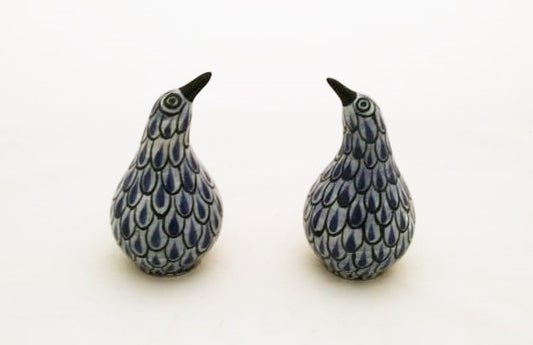 Kiwi Bird Salt and Pepper Shaker Set Blue and White