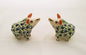 Wild Pig Salt and Pepper Shaker Set MultiColors