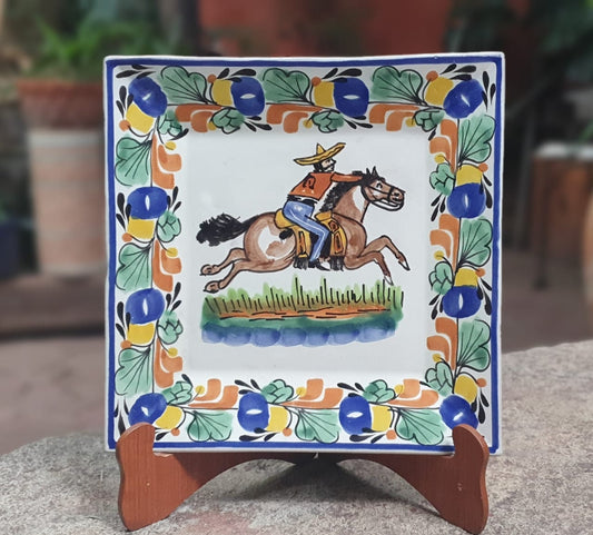 Cowboy Square Traditional Border MultiColors