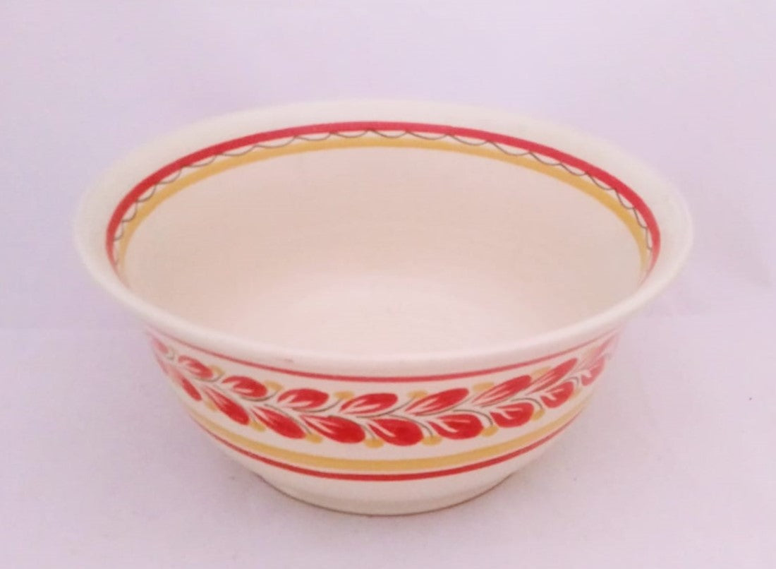 Salad Bowl Red-Yellow Colors