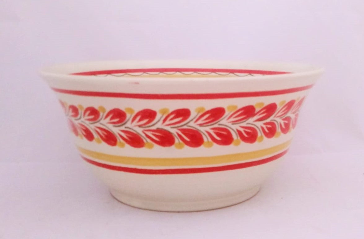 Salad Bowl Red-Yellow Colors