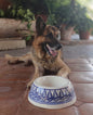 Dog Bowl Blue and White