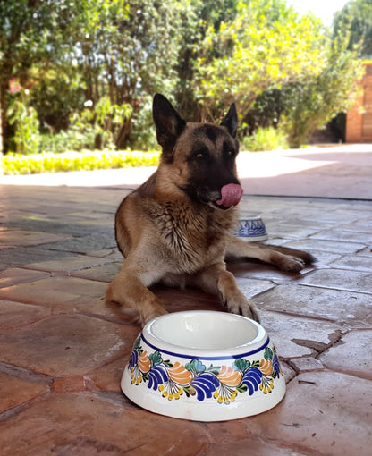 Dog Bowl MultiColors