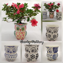 Owl Flower Pot Set (3 pieces) 5.5" Height MultiColors