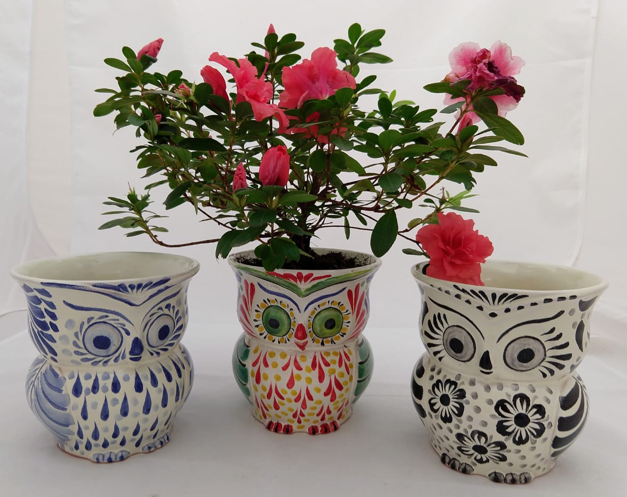 pot plant owl Owl Flower Pot 5.5" Height MultiColors mexican handcrafts for garden