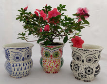 Owl Flower Pot Set (3 pieces) 5.5" Height MultiColors