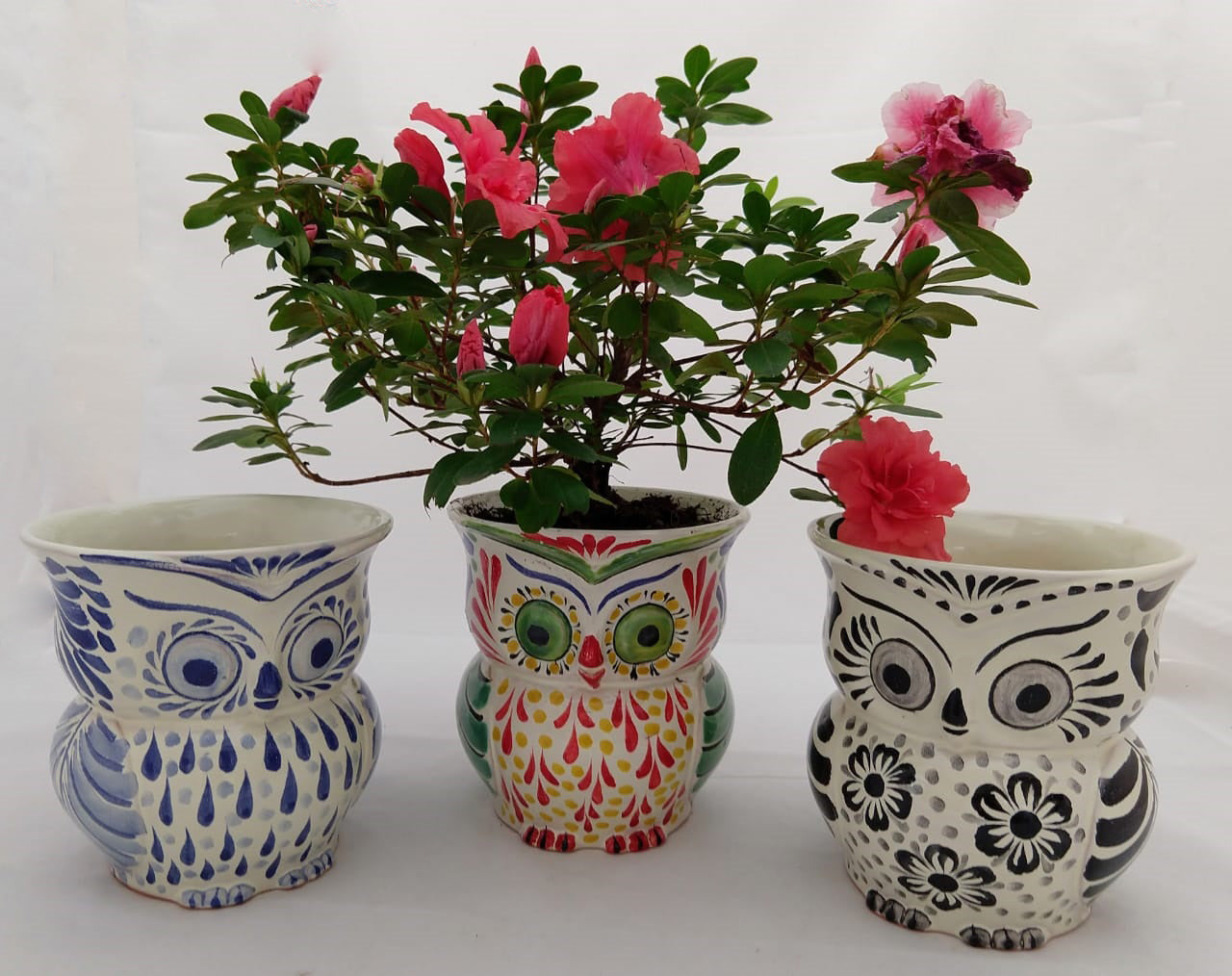 Owl Flower Pot Set (3 pieces) 5.5