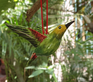 Ornament Hummingbird 3.9" H 3D Multi Colors