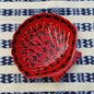 Shell Dish Plate 4.7*5" Choose Your Favorite Contemporary Color