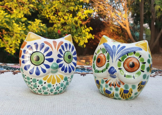 Owl Head Salt and Pepper Shaker Set MultiColors