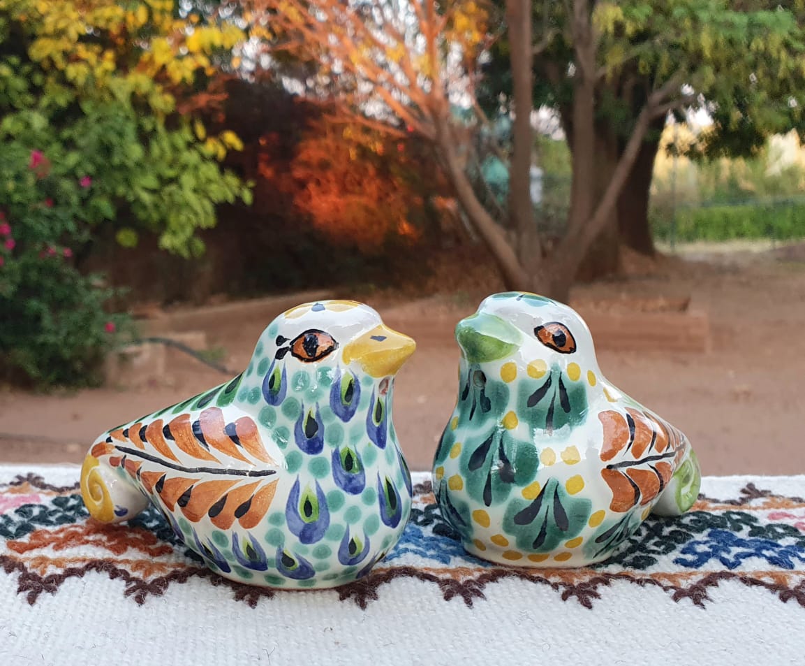 Dove Salt and Pepper Shaker Set MultiColors