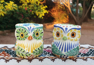Owl Salt and Pepper Shaker Set Multi-colors