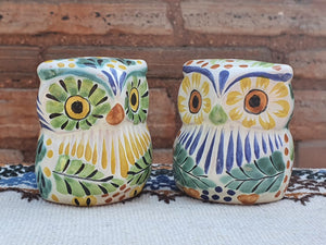 Owl Salt and Pepper Shaker Set Multi-colors