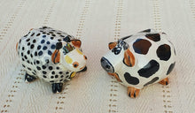Cow Round Salt and Pepper Shaker Set Black and White