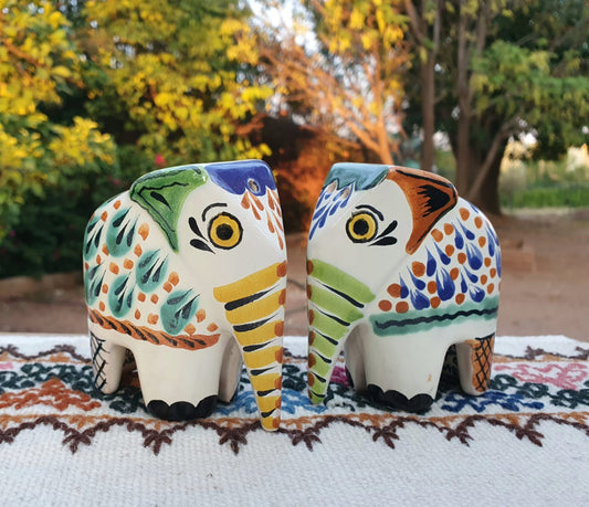Elephant Salt and Pepper Shaker Set MultiColors