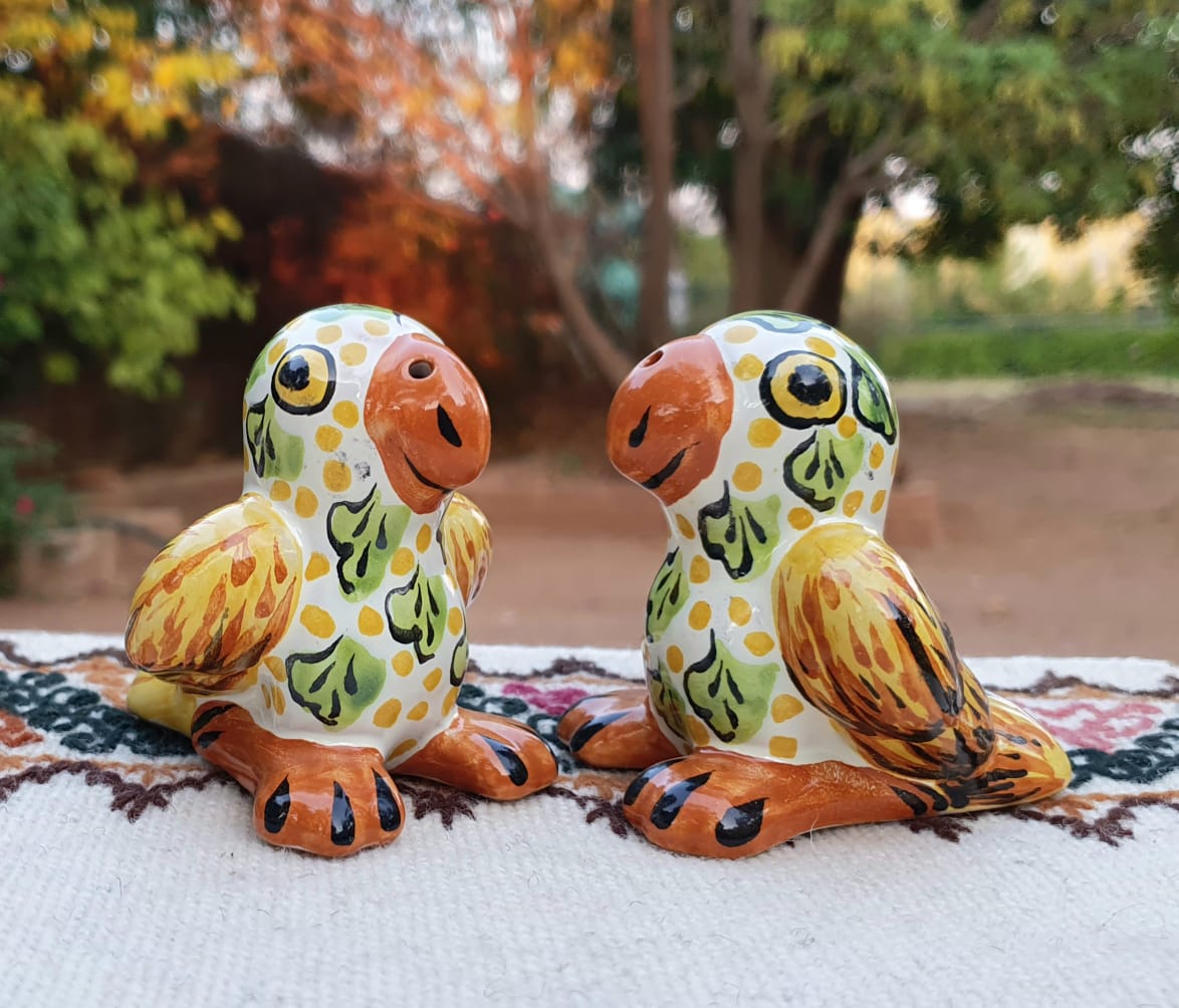 Parakeet Salt and Pepper Shaker Set MultiColors