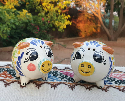 Pig Salt and Pepper Shaket Set MultiColors