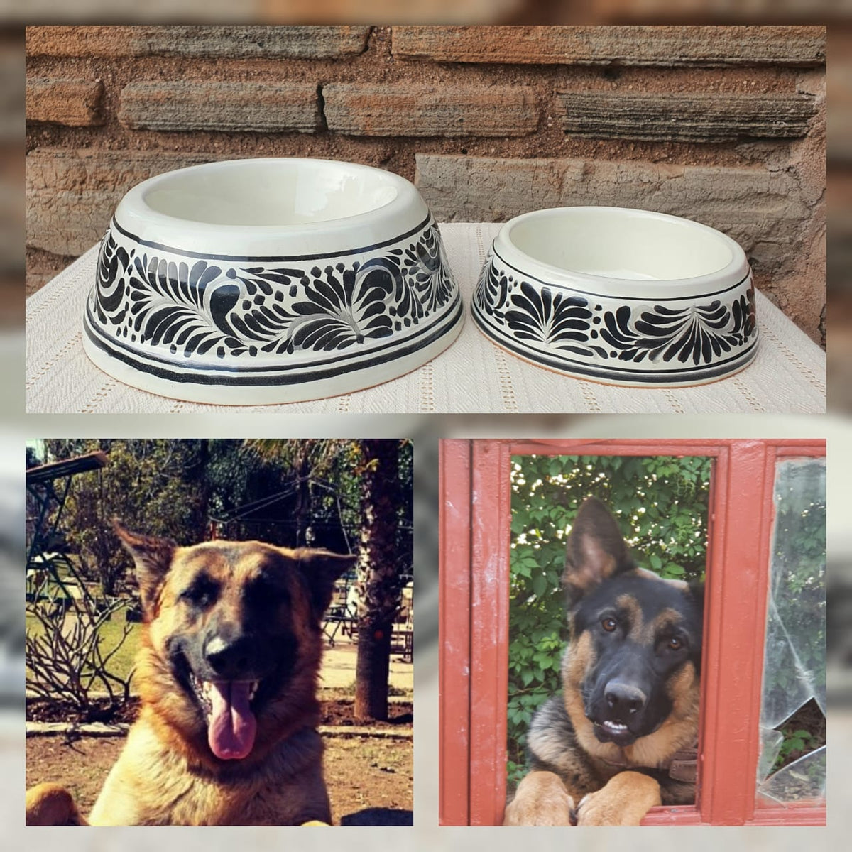 Dog Bowl Set of 2 Large & Small Black and White