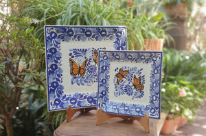 Butterfly Square Plates Set of 2 Blue and White