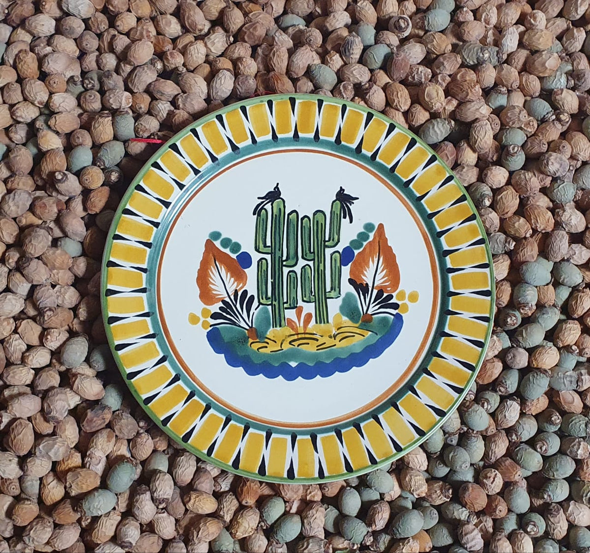 Cactus Plate MultiColors