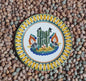 Cactus Plate MultiColors