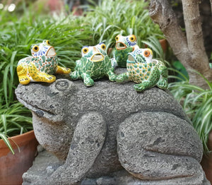 Frog Shape Set of 4 Flower Pot MultiColors