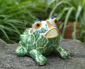 Frog Shape 6.7" W x 5.9" H Flower Pot Multi-colors