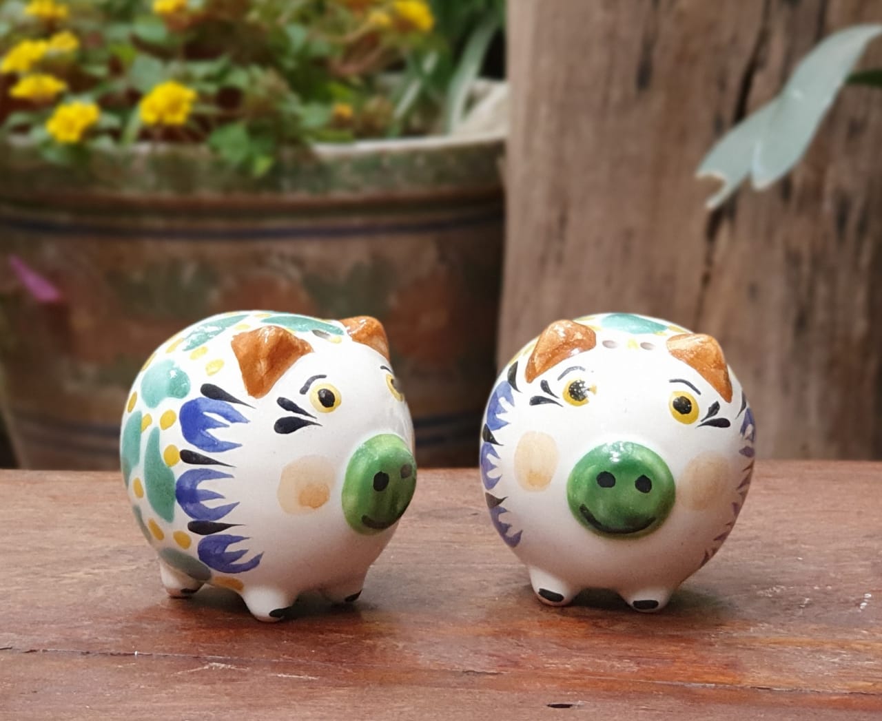 Pig Salt and Pepper Shaket Set MultiColors