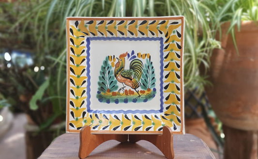Roster Square Plates Multi-colors
