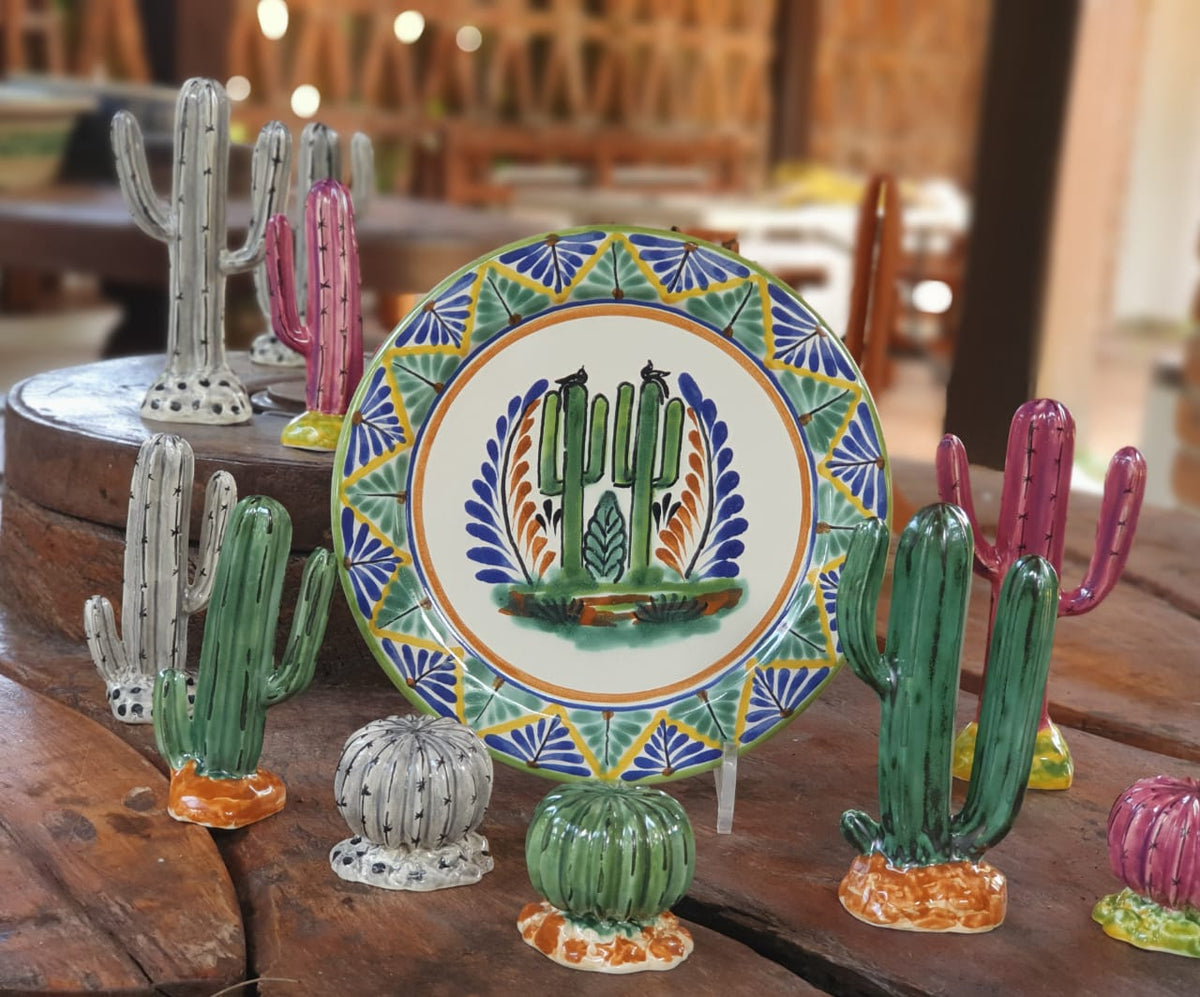 Cactus Plate MultiColors