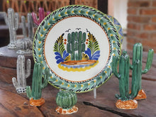 Cactus Plates MultiColors