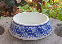 Dog Bowls Blue and White
