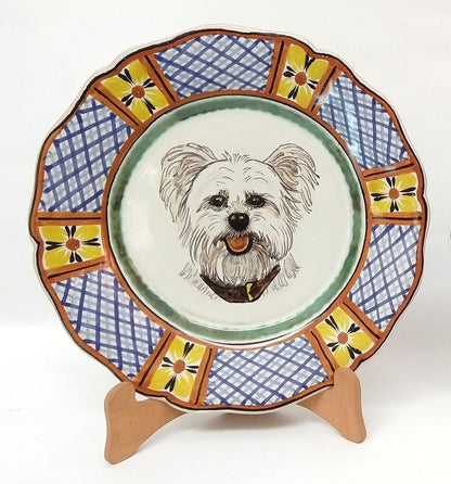 Plato para Perros Hecho a Medida 11" D Colores II (haz tu pedido y envíanos la foto de tu amigo!!) 