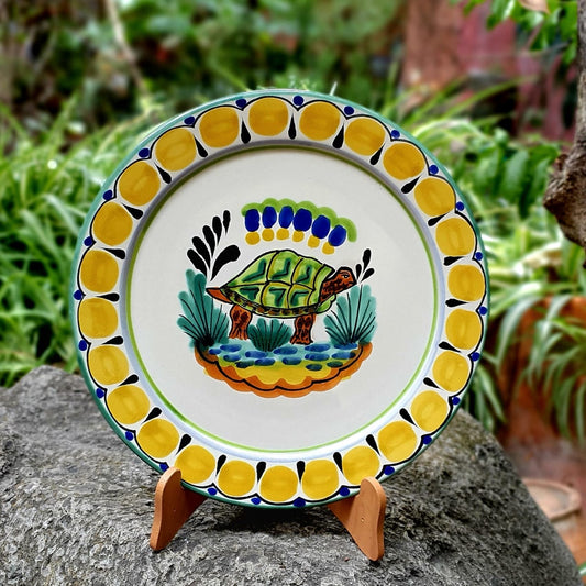 Turtle Plate MultiColors