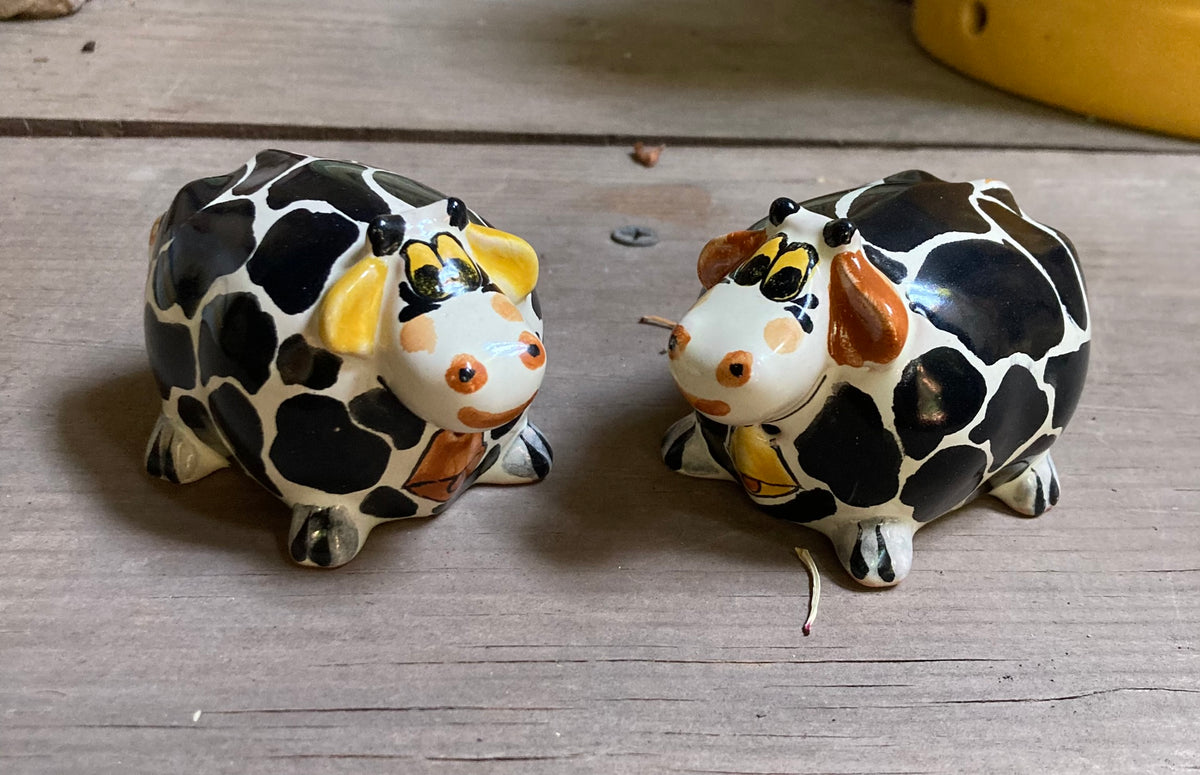 Cow Round Salt and Pepper Shaker Set Black & White