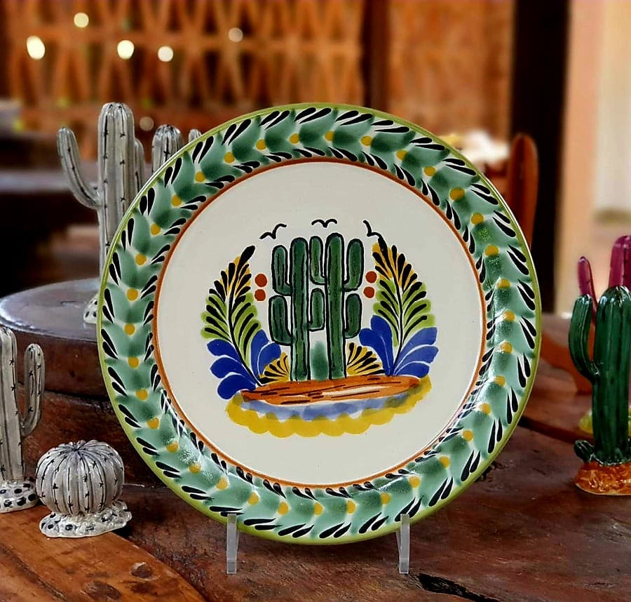 Cactus Plate MultiColors - Main Image