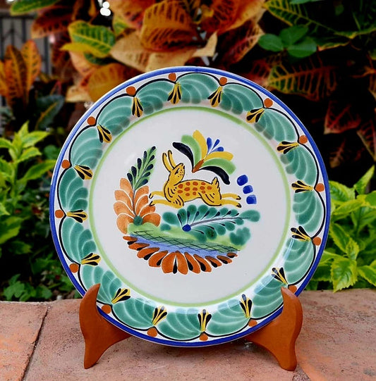 Rabbit Plates MultiColors