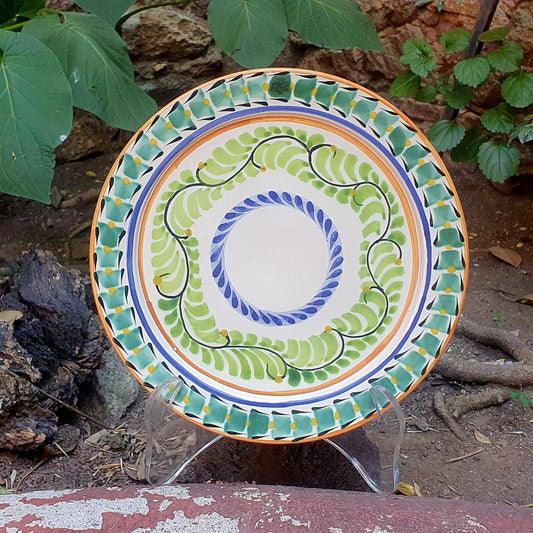 Plate with Double Border MultiColors