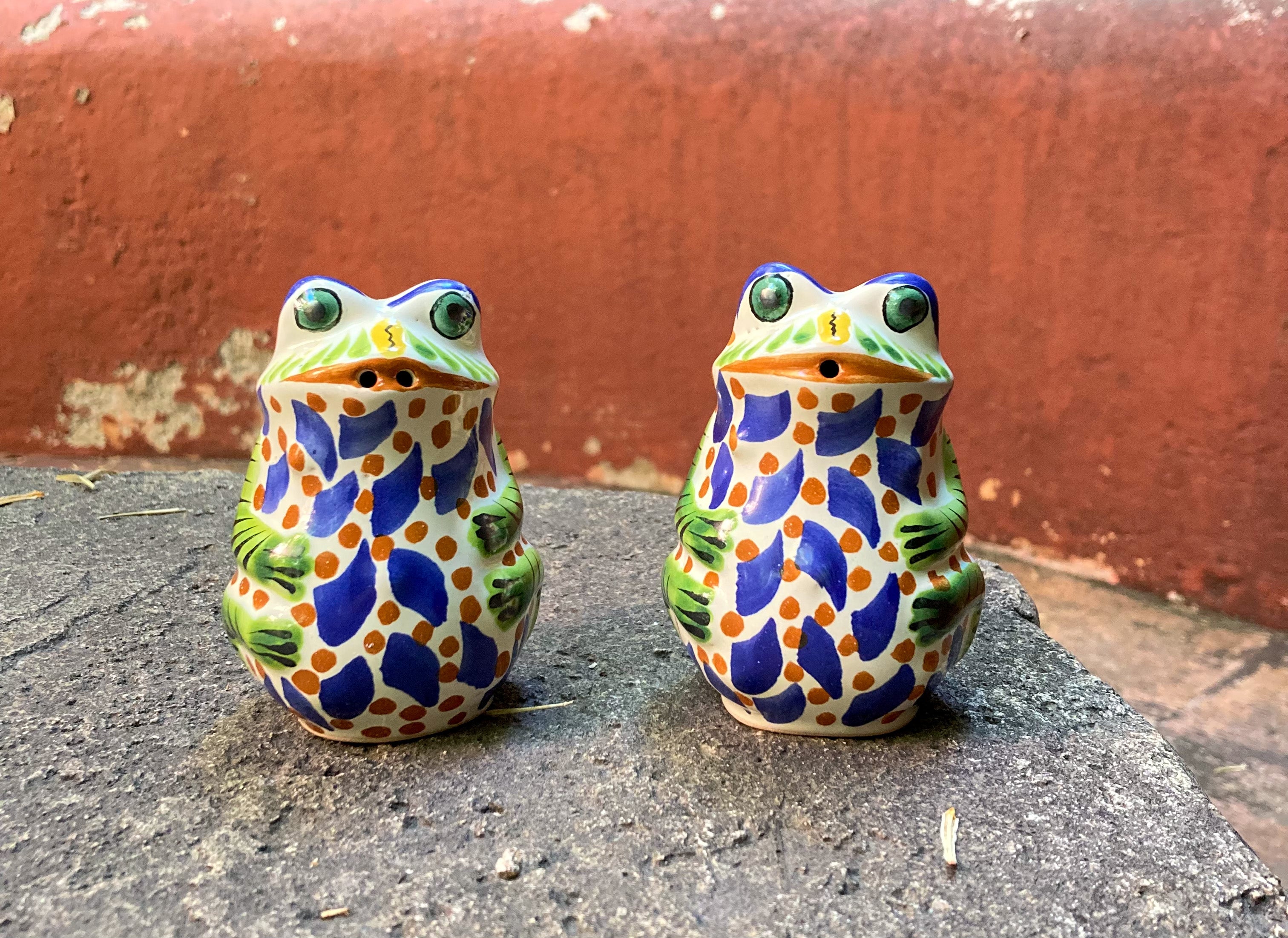 Frog Salt and Pepper Shaker Set MultiColors Pottery handcrafts