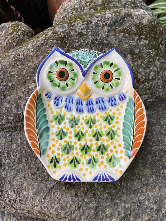 Owl Snack Dish Plate 8 x 7 inches MultiColors