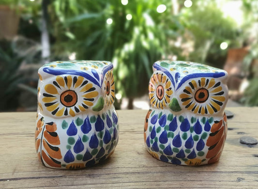 Owl Salt and Pepper Shaker Set MultiColors