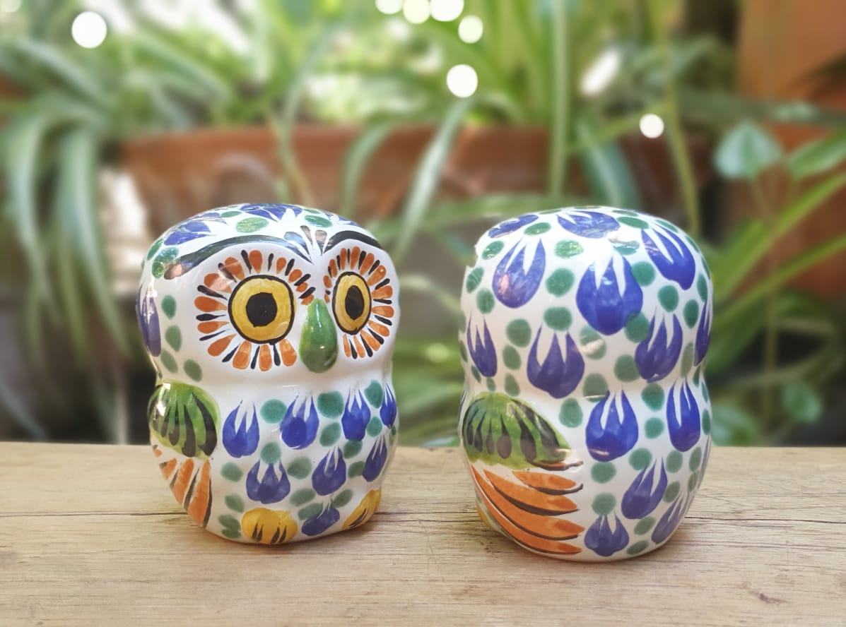 Owl Round Salt and Pepper Shaker Set Multi-colors