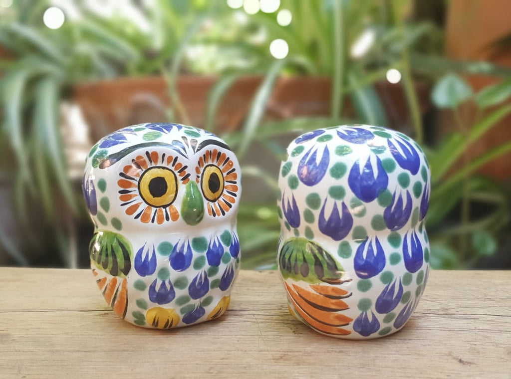 Owl Salt and Pepper Shaker Set Multi-colors ceramic handmade