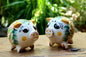 Pig Salt and Pepper Shaket Set Multi-colors